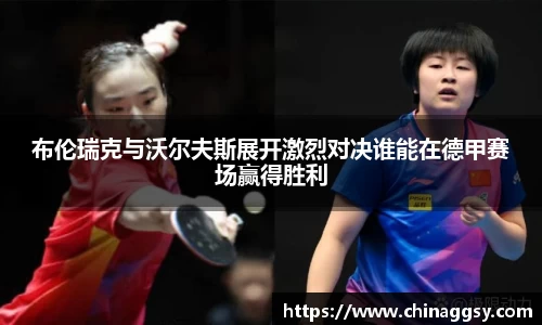 布伦瑞克与沃尔夫斯展开激烈对决谁能在德甲赛场赢得胜利